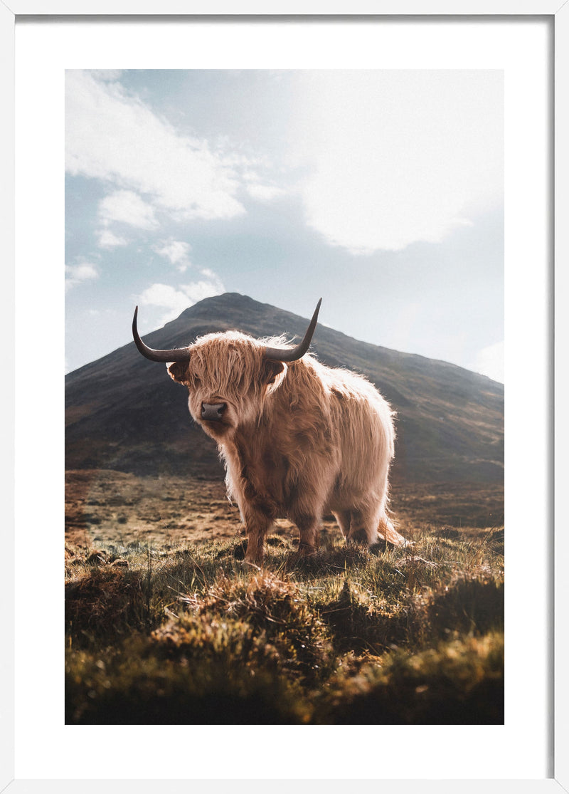 Solace in Skye: The Highland Wanderer