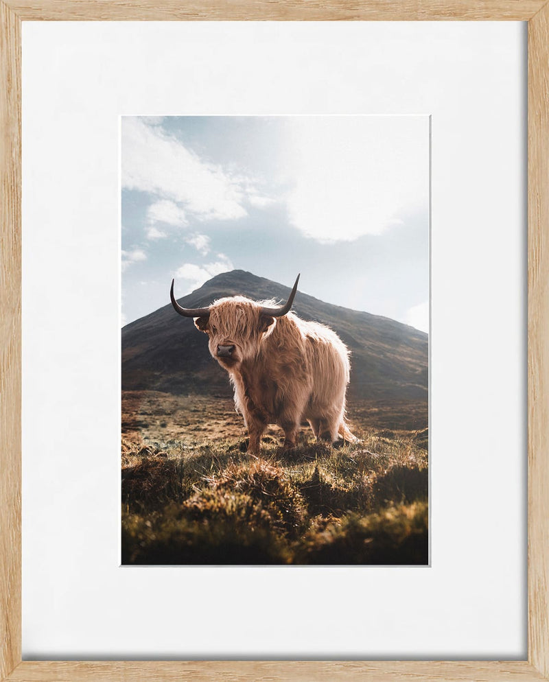 Solace in Skye: The Highland Wanderer