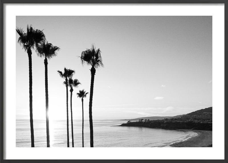 California Family