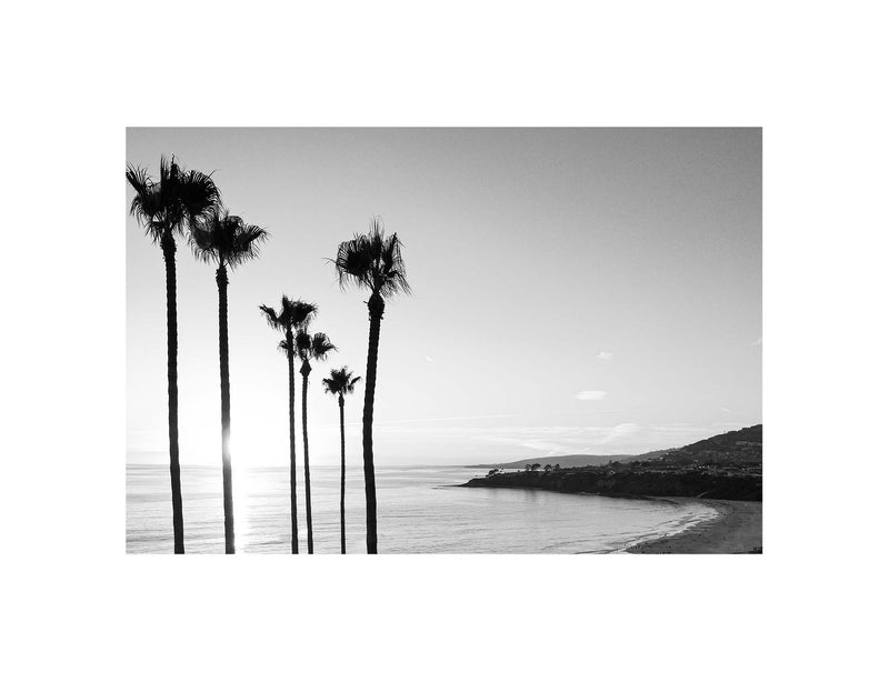California Family