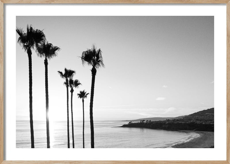 California Family